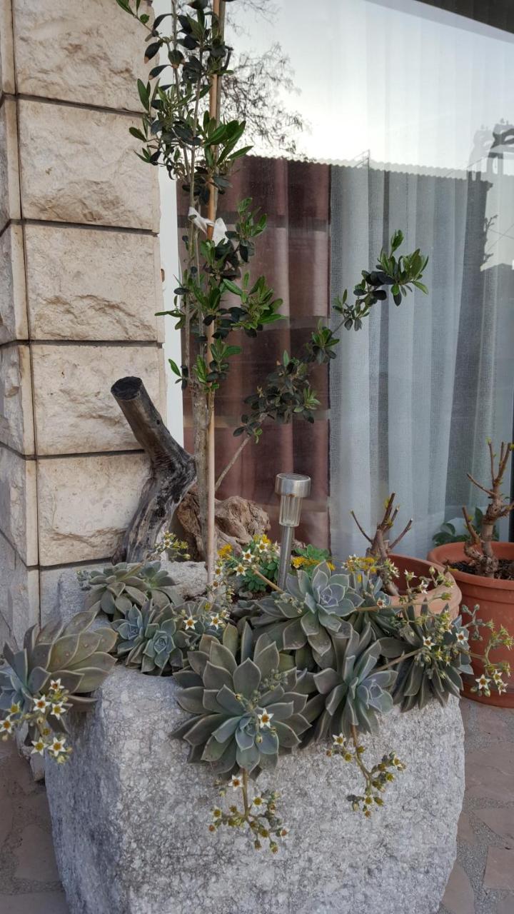 Apartmani Antunovic Podgora Dış mekan fotoğraf